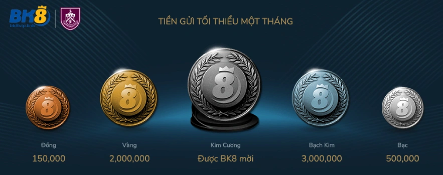 capdovipbk8 BK8 Link Truy cập nhanh cá cược đỉnh cao Chương Trình Chuyển Đổi VIP BK8